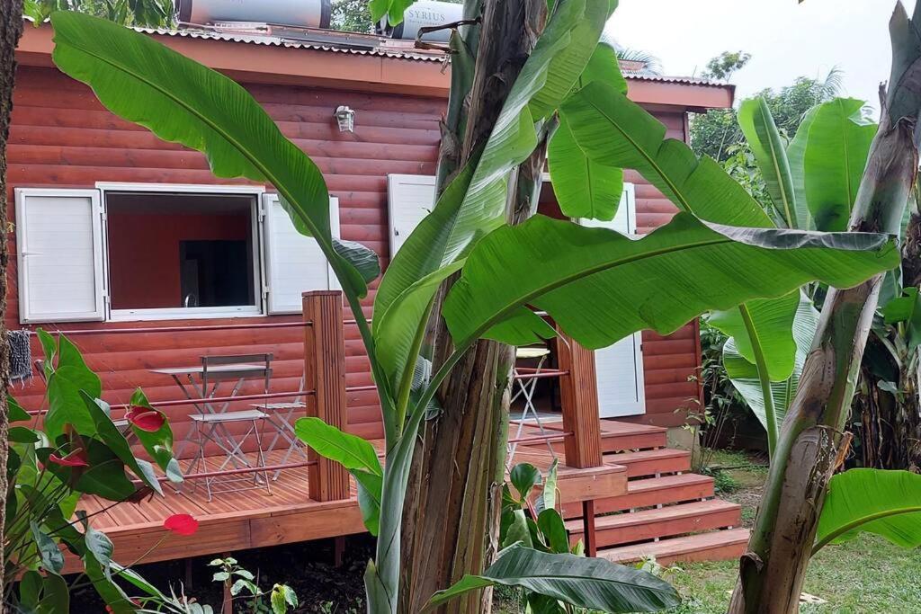 Chalet Les Azalees Le Tampon Exterior photo